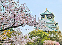 一日意甲动态：阿莫林重逢老东家，国米21岁新星或赴乌德勒支